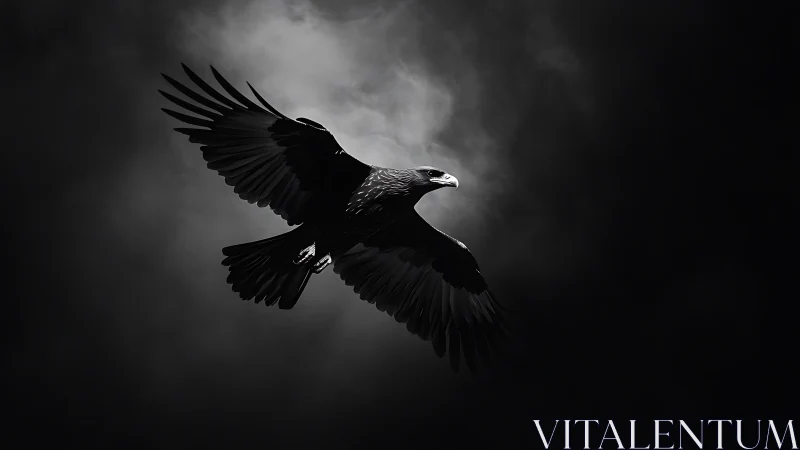 Majestic Eagle in Flight Against Dramatic Dark Sky, Fine Art Style.