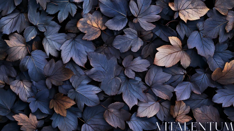 Midnight-toned leaves form a serene abstract forest carpet.