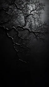 Monochrome branching structure on dark textured surface.