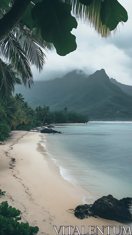 Tropical Beach Cove with Mountain Peak Rising Through Mist