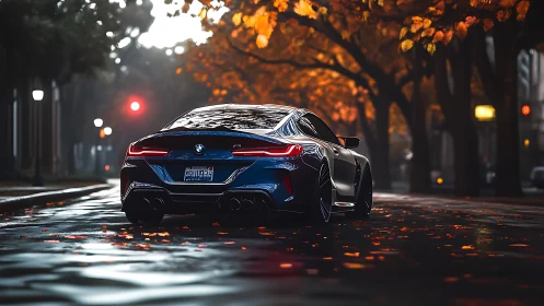 Midnight blue sports coupe on wet autumn city boulevard.