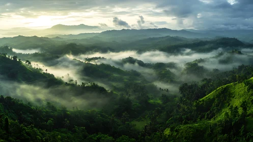 Morning mist drifts through lush green tropical mountain valleys