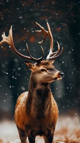 Male deer with antlers standing in winter snowfall outdoors.