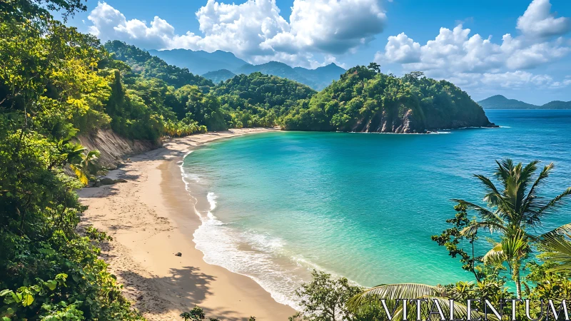 Tropical Paradise Beach with Lush Greenery and Turquoise Waters.