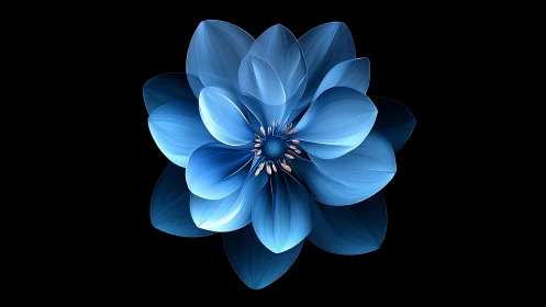 Blue Blossom. Digital Flower Study Against Black.