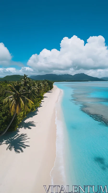 Tropical Paradise Beach with Palm Trees and Turquoise Waters.