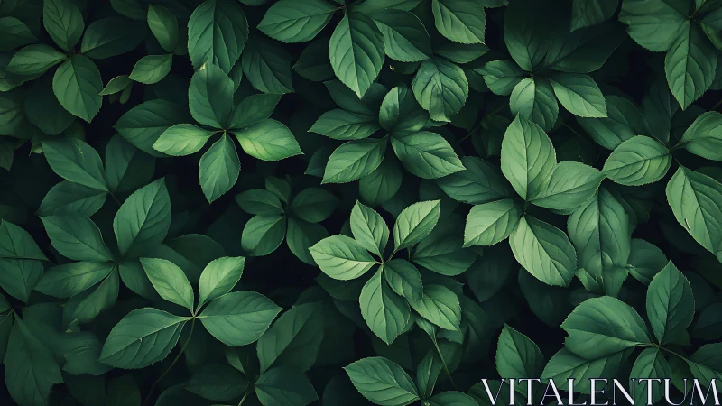 Gentle green leaves create a calm, refreshing natural pattern