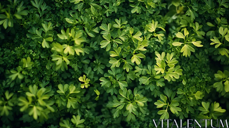 Gentle green leaves creating a cozy garden blanket.