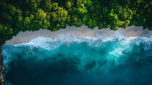 Coastal Drone View: Dense Forest Meets Turquoise Ocean Waves.