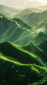 Sunlit emerald ridges in misty layered mountainscape.