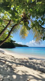 Tropical Beach Paradise Under Palm Fronds.