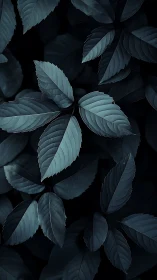 Midnight leaves unfold quietly in a calm forest embrace