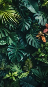 Lush tropical monstera foliage under deep emerald light.