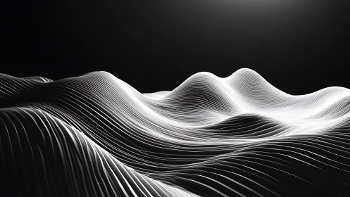 Silverwave topography of light-drawn midnight dunes.