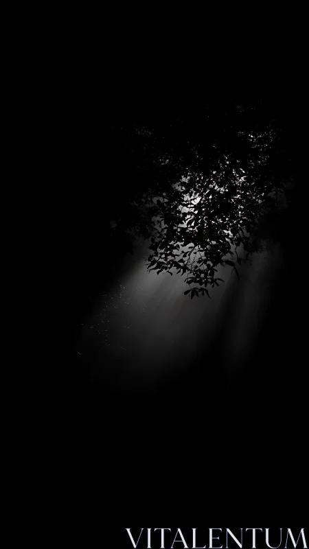 Moonlit leaves emerge quietly from a deep forest void