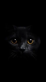 Black Cat with Amber Eyes Against Dark Background