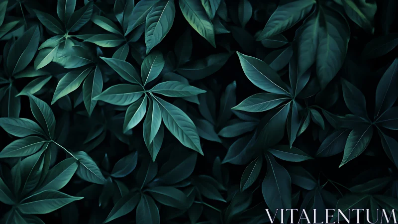 Dense foliage canopy rendered with low-key teal-toned lighting gradients