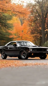 Black classic muscle car on rural road in autumn forest.