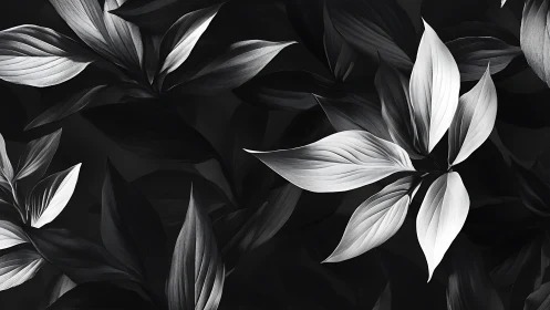Monochrome foliage study with high-contrast sculpted leaves.
