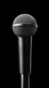 Studio microphone captured in centered front-on composition
