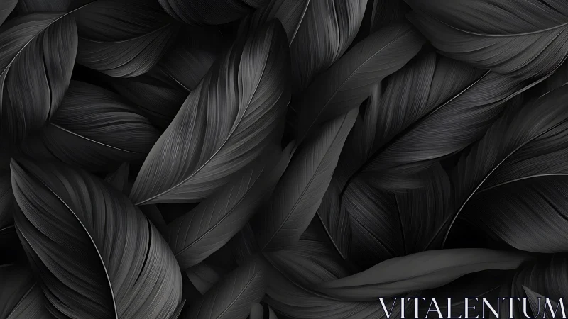 Monochrome overlapping feather pattern in close detail.