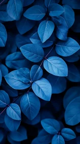 Monochrome indigo foliage study with layered leaf planes.