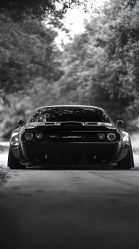 Low-slung muscle car prowls a shaded forest backroad