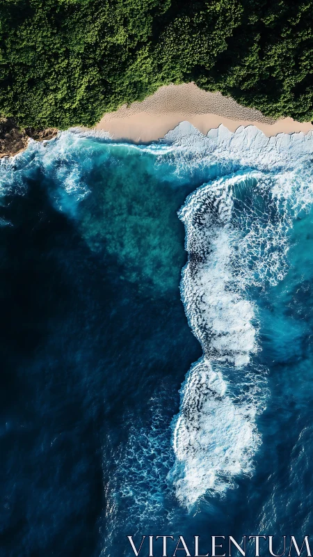 Where emerald jungle leans into roaring sapphire surf.