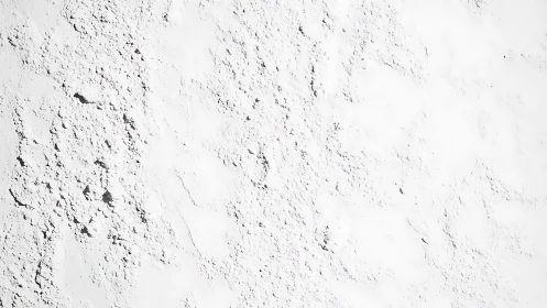 Rough white plaster wall texture with scattered surface cracks.