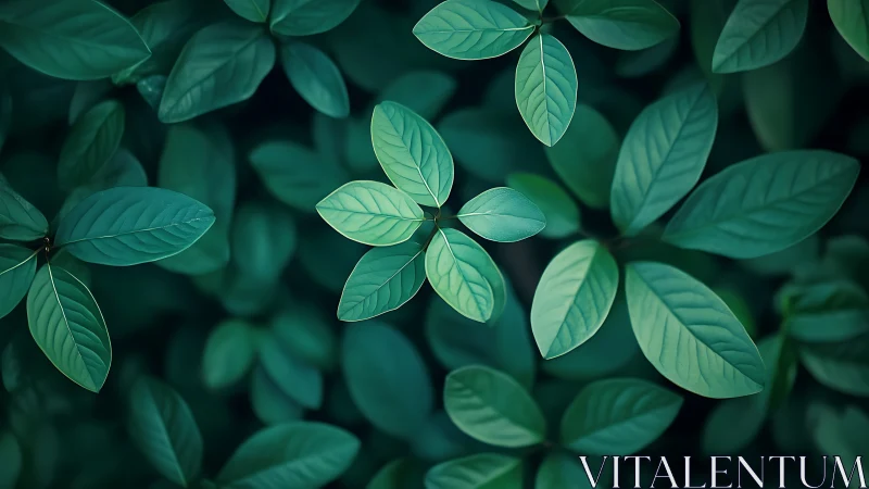 Lush green foliage forms a tranquil, softly lit canopy.