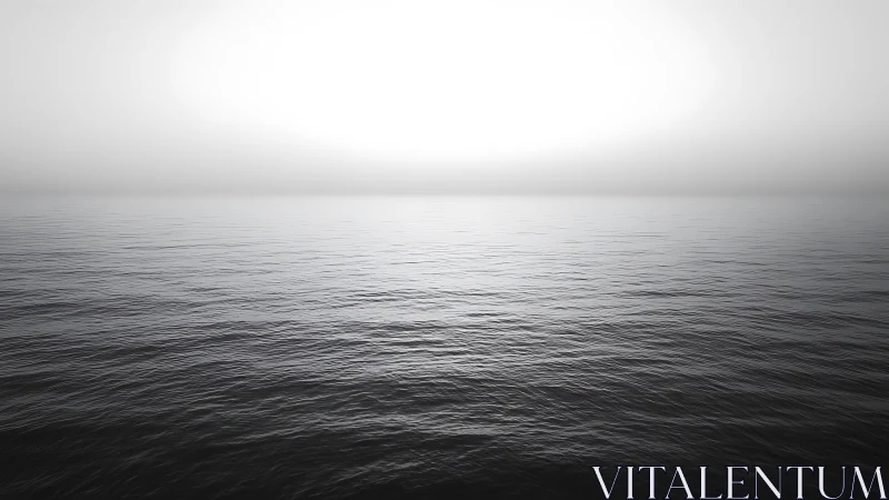 Minimalist seascape horizon in monochrome photographic study.