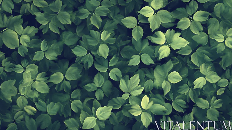 Digital foliage tapestry with layered leafy groundcover pattern.
