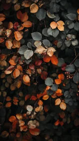 Macro study of autumn foliage with deep teal and rust hues