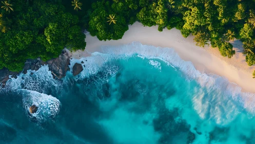 Tropical Coastline with Turquoise Waters and Dense Forest.