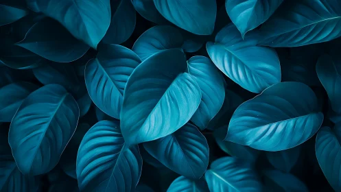 Midnight teal leaves whisper in a velvety forest hush