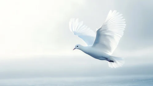 White Dove Soaring Against Serene Sky.