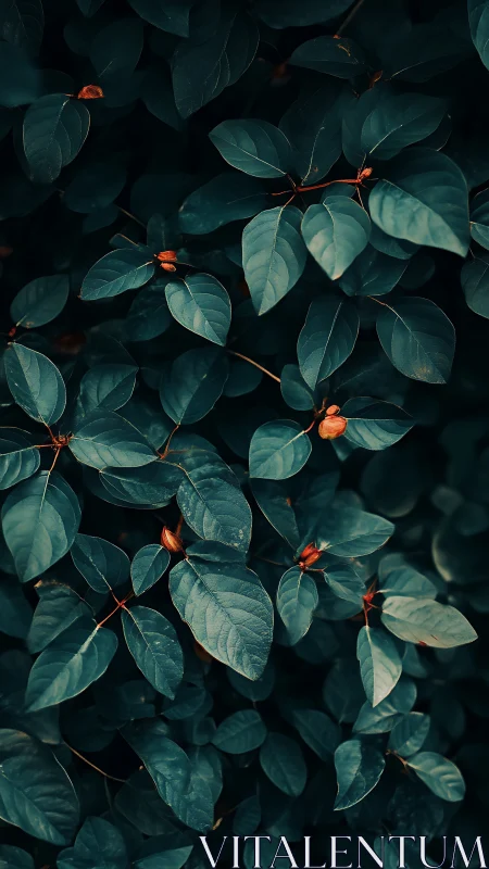 Midnight teal leaves cradling ember-bright budding whispers.