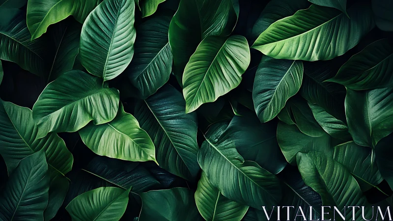 Dense tropical foliage captures layered botanical textures