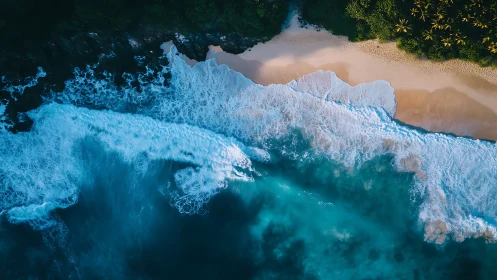Aerial shoreline with turquoise surf, foaming breakers, dense palms