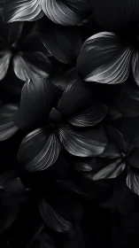 Dark Petals Illuminated: Monochrome Floral Study.