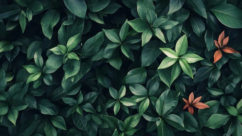 Lush tropical foliage pattern with contrasting orange accents.