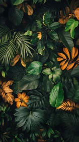 Lush tropical foliage pattern with deep tonal contrast rendering.