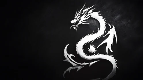 White tribal dragon curls on black chalk-textured backdrop