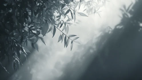 Tranquil Leaves in Soft Sunlight, Moody Monochrome Nature Scene.