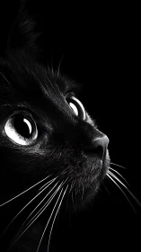 Black Cat with Striking Eyes in High Contrast Portrait.