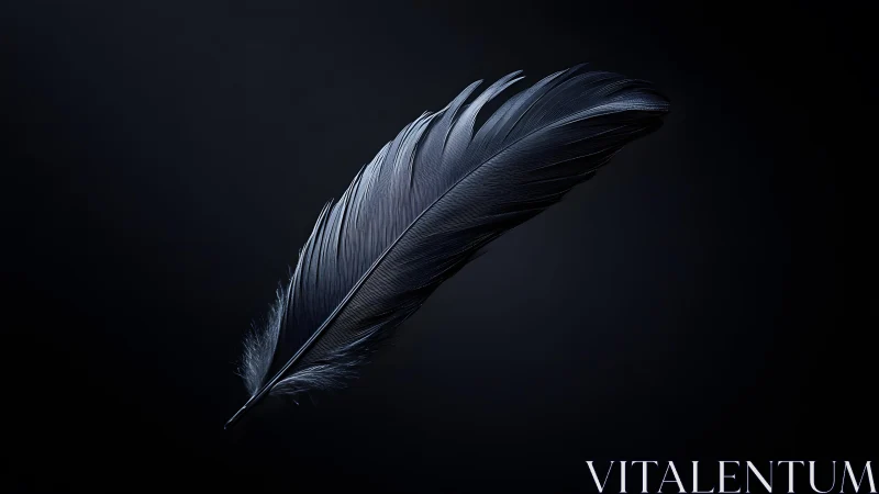 Elegant black feather on dark background in minimalist style.