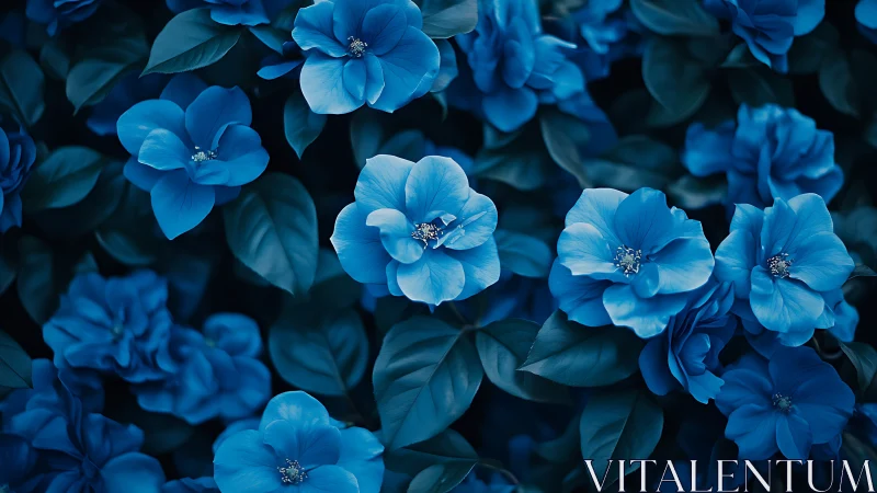 Blue Flowers in Full Bloom: Dense Garden Scene.