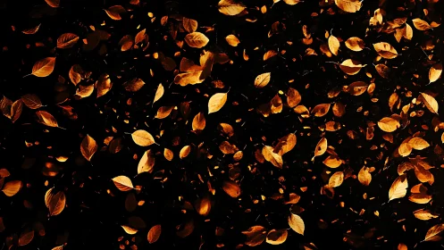 Floating autumn leaves sketch swirling constellations of gold