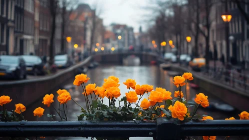 Orange Flowers Overlooking Amsterdam Canal.