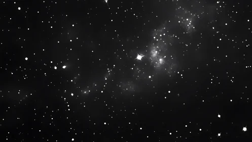 Dense star field on black sky with faint galactic band.